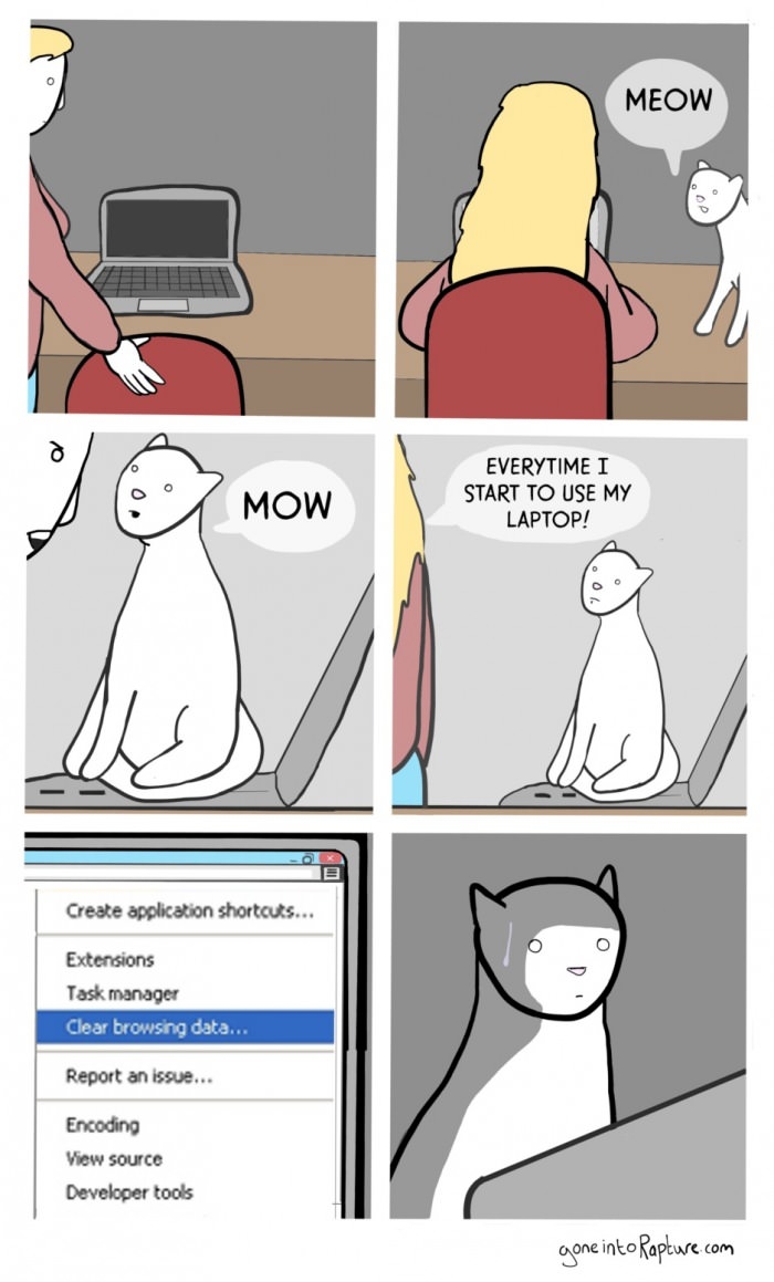 Why cats do this, maybe?