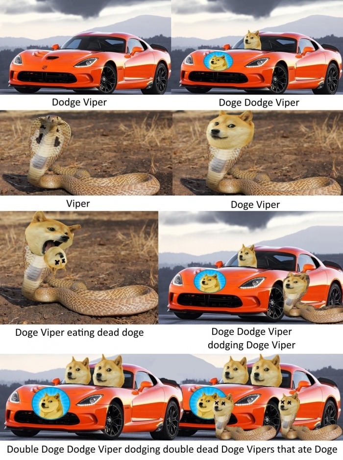 Very dogeception