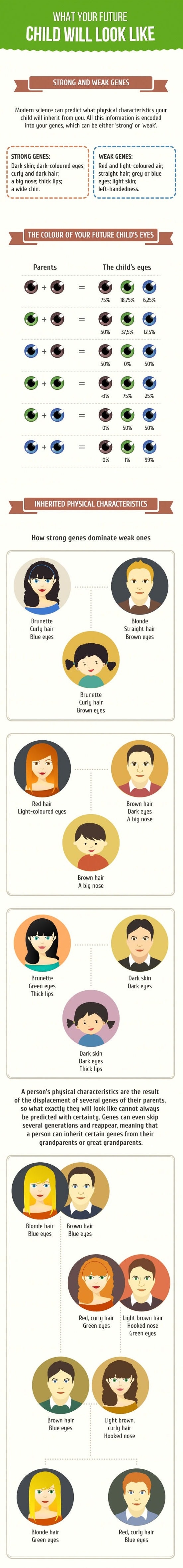 What your child will look like