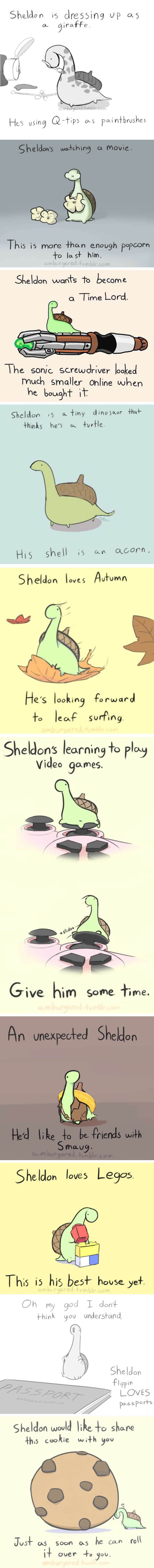 Sheldon the tiny dinosaur