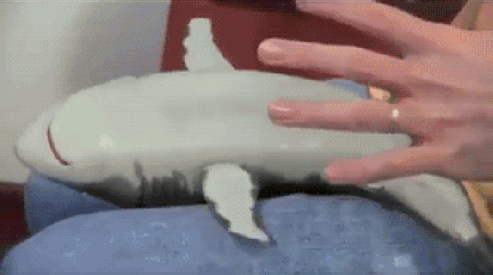 Tickling a shark