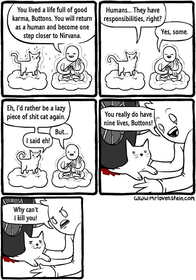 Why cats have nine lives