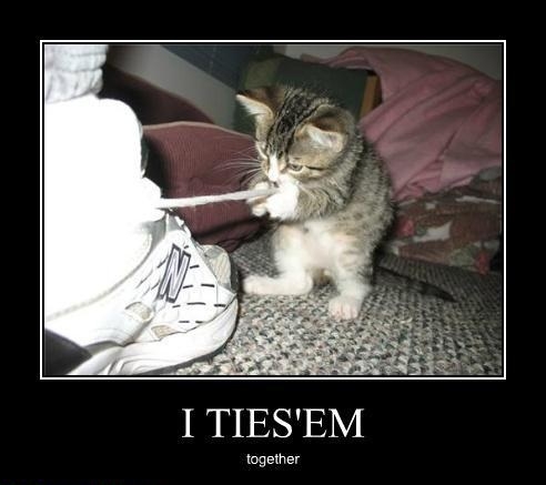 I ties 'em