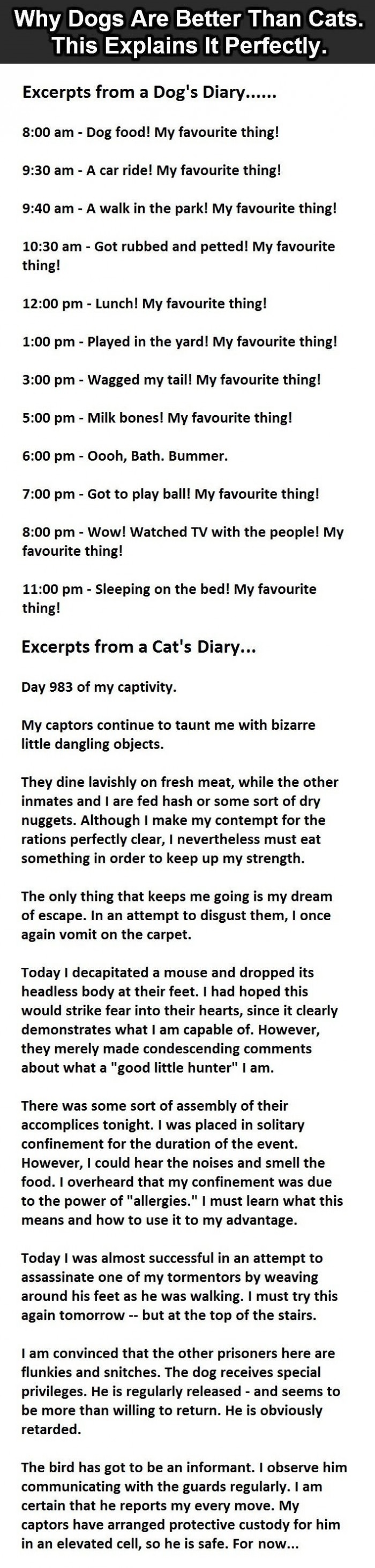 Dogs are better than cats