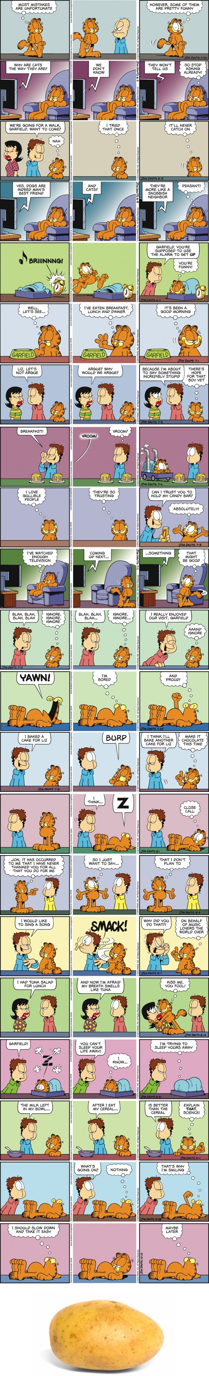 Garfield comic strips