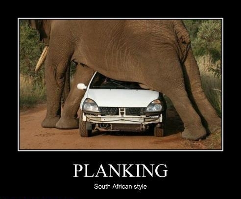 Planking