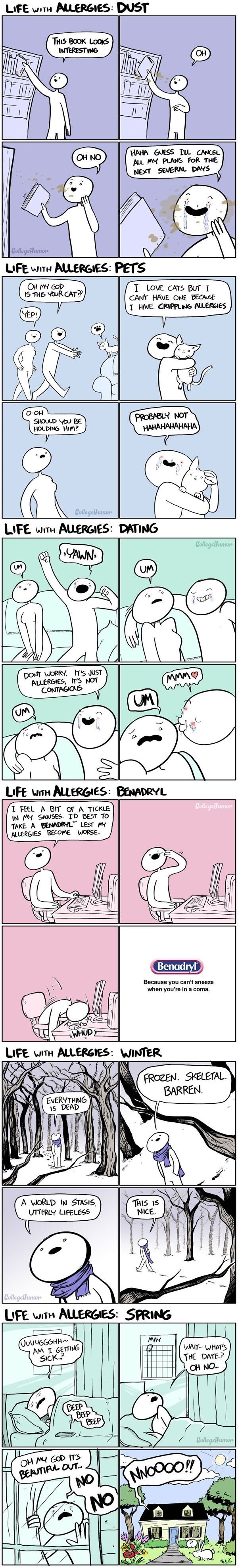 Life with allergies