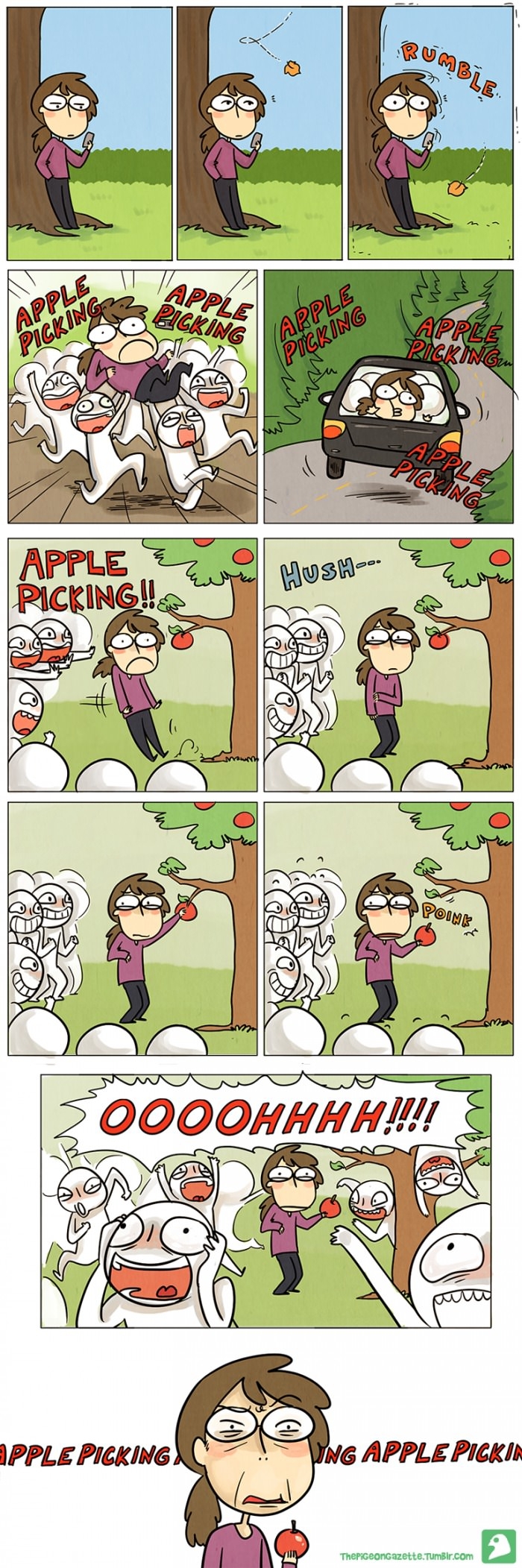 Apple picking season
