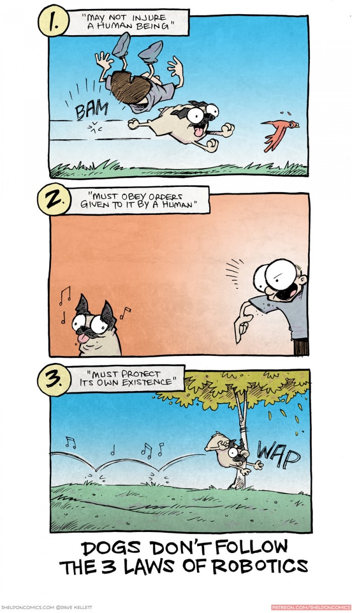 Dogs don't follow laws