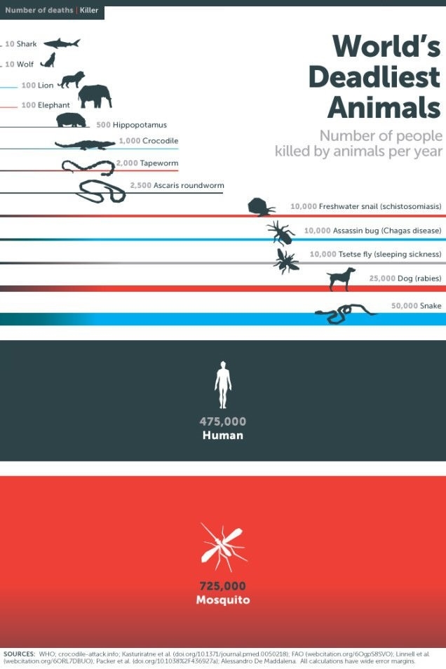 World's deadliest animals