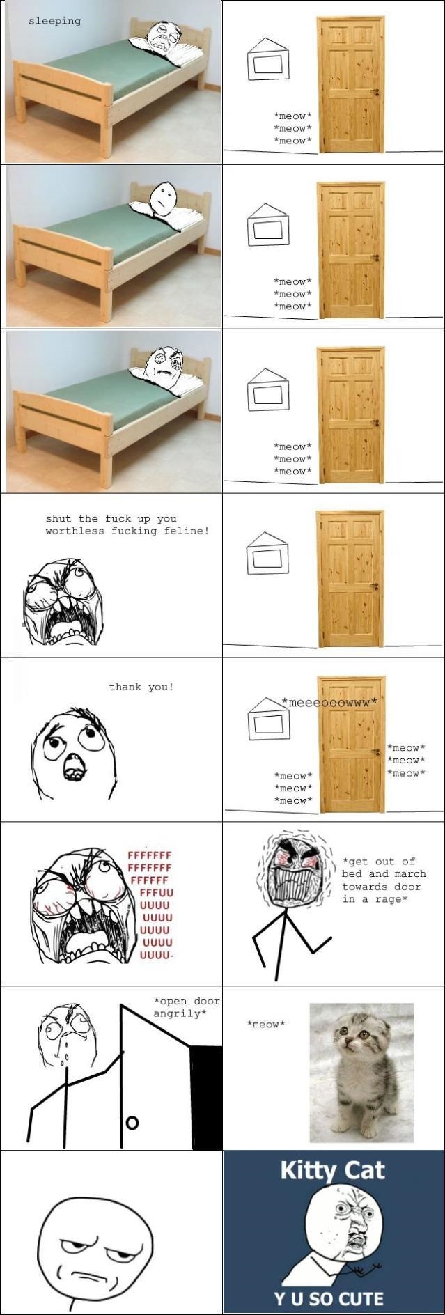 Y u do dis kitty cat?!
