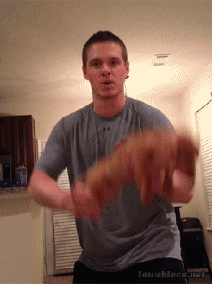 Dachshund gun
