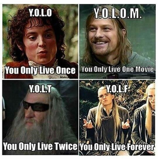 YOLOception