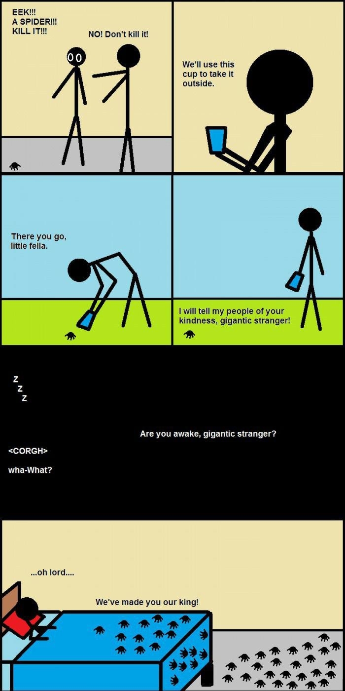 You are the king now!