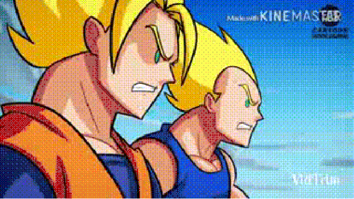 Never call super saiyans gay