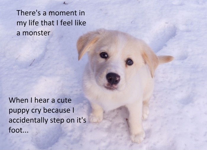 I'm sorry you poor thing