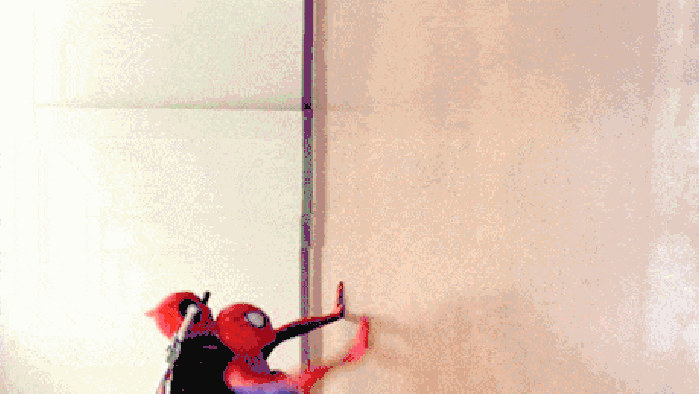 Spiderdog, Spiderdog..
