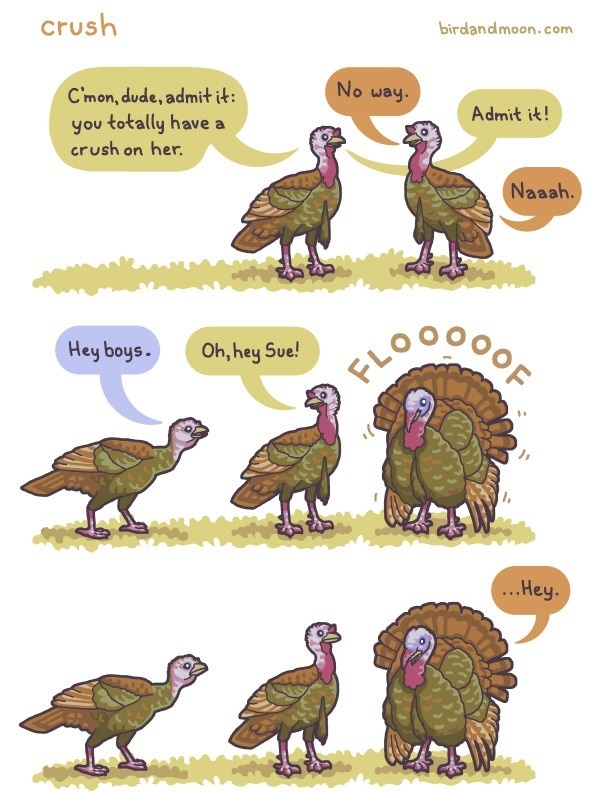 You have a crush on her