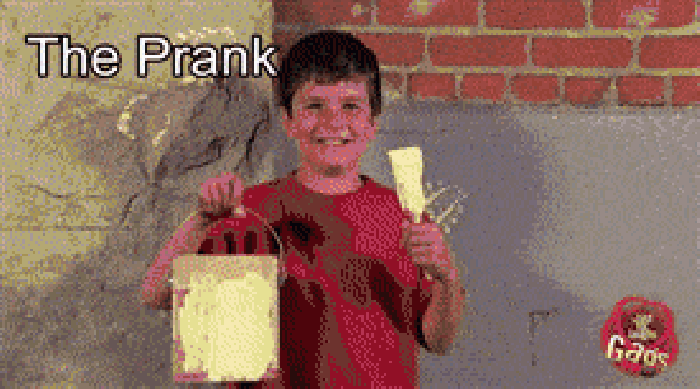 Twins prank