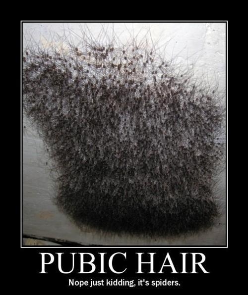 Hair