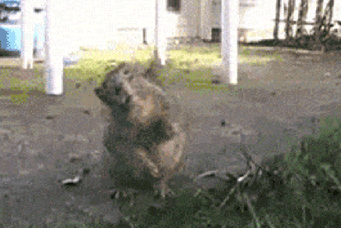U wot sqrl