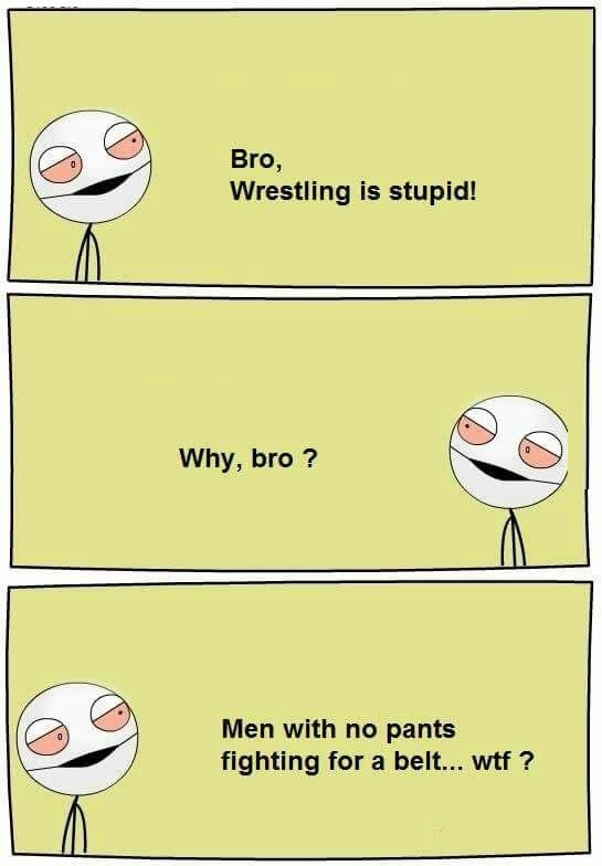 Wrestling is stupid