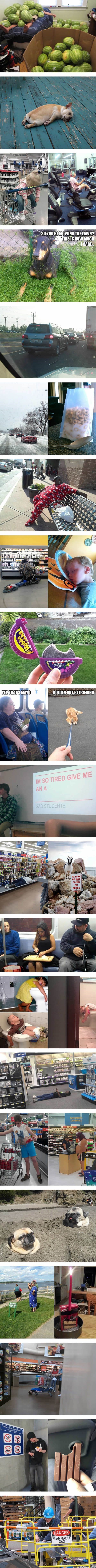 They just don�t care