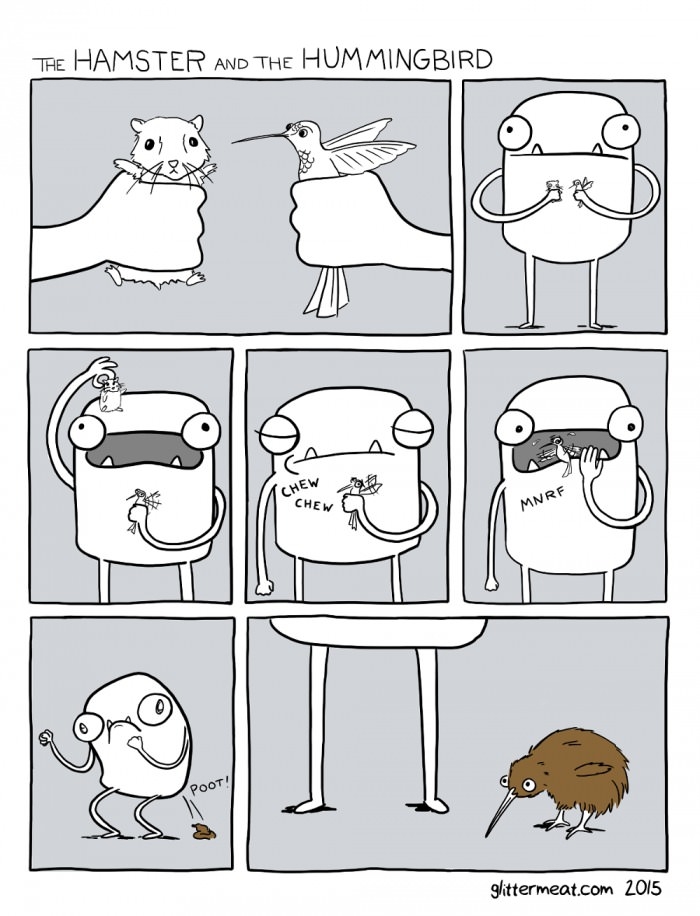 Hamster & the hummingbird