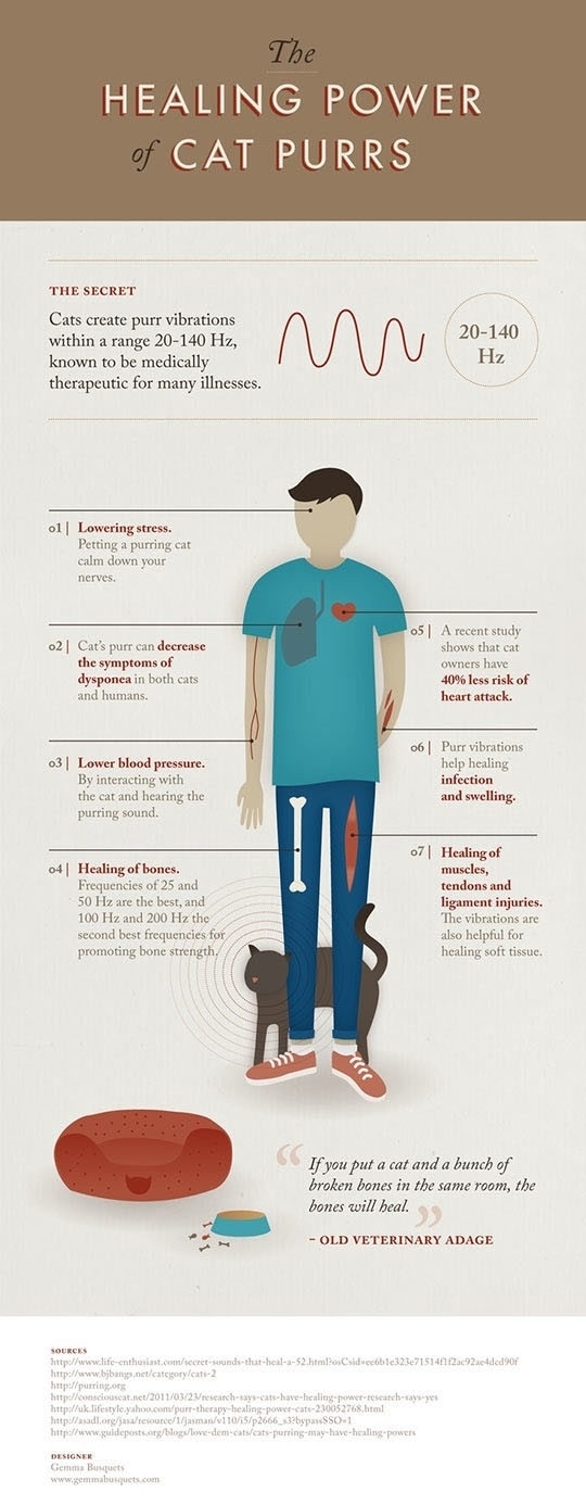 Healing powers of cats