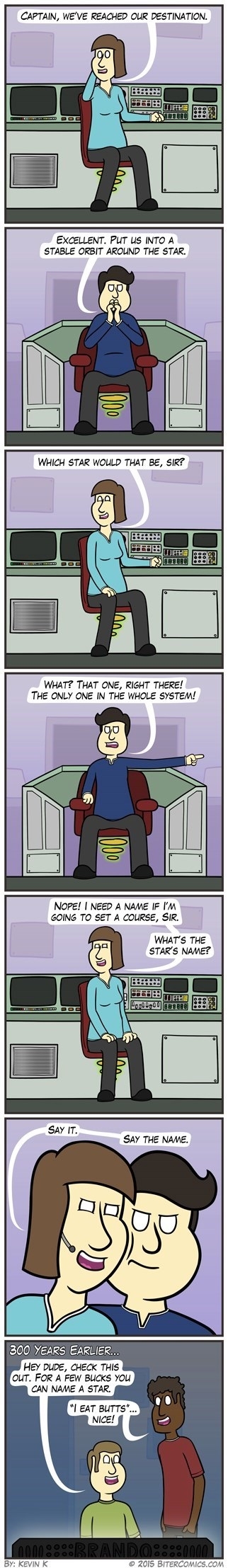 Another name for a rose