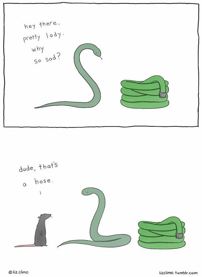 Don't talk to those hose