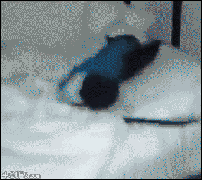 Wake up!