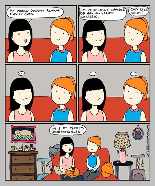 Cats control our lives