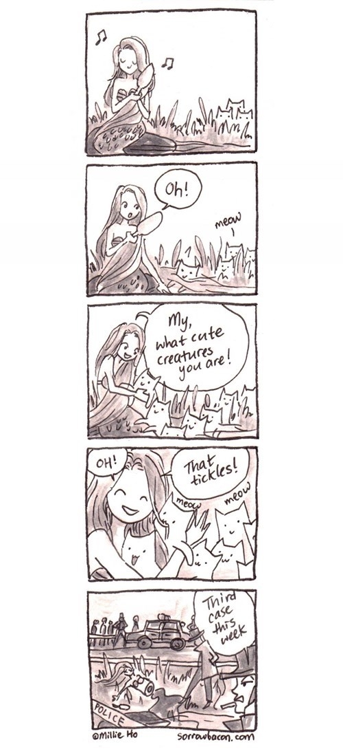 Mermaid vs cats