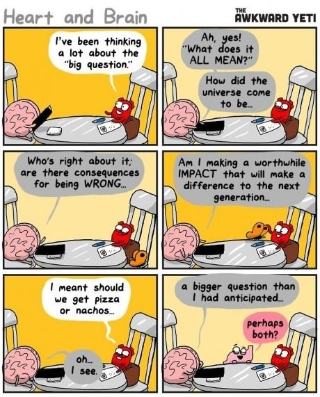 Don't forget the stomach