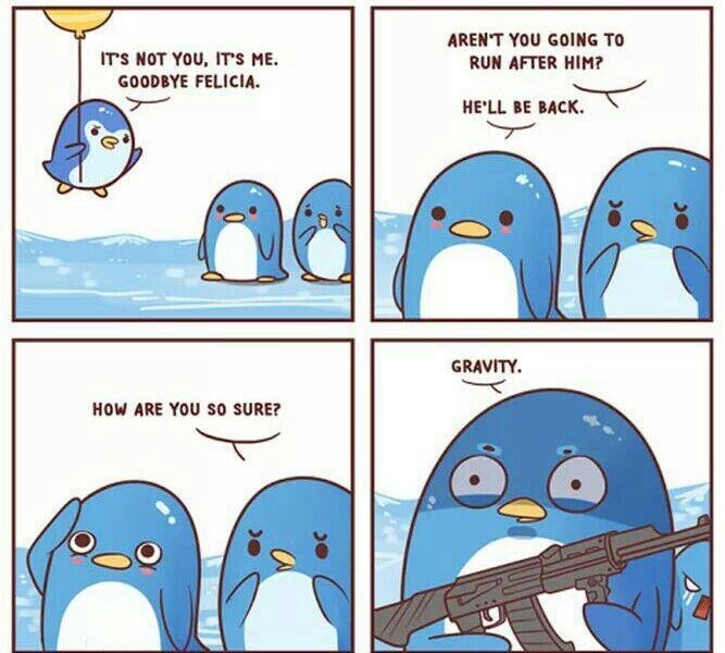 Penguin mating rituals