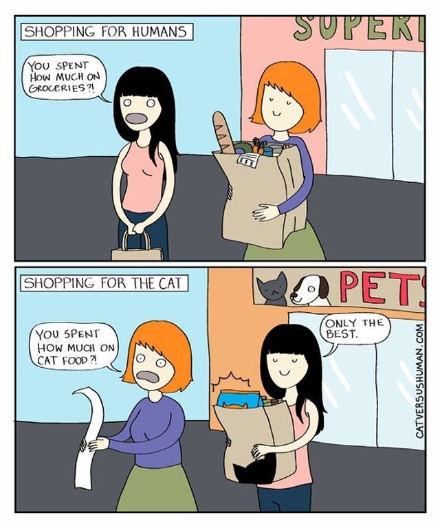 Shopping, humans vs cats