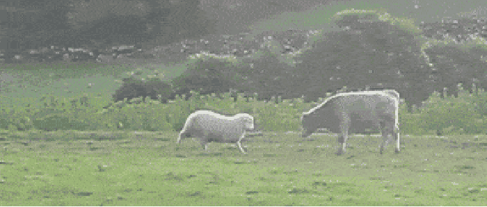 Wait for it..