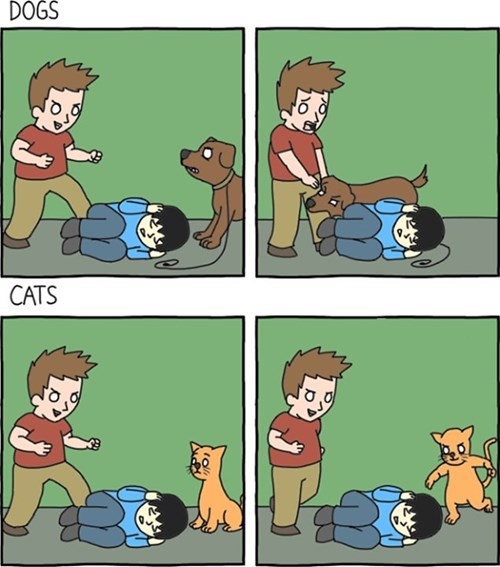 Dogs vs. Cats