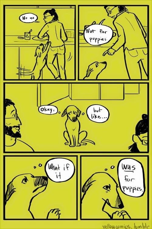 Puppy logic