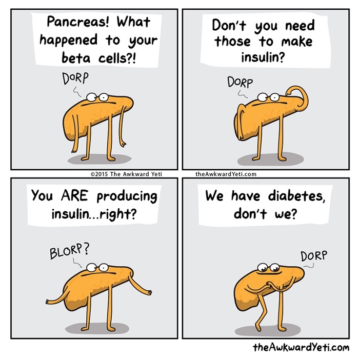 Pancreas is an idiot