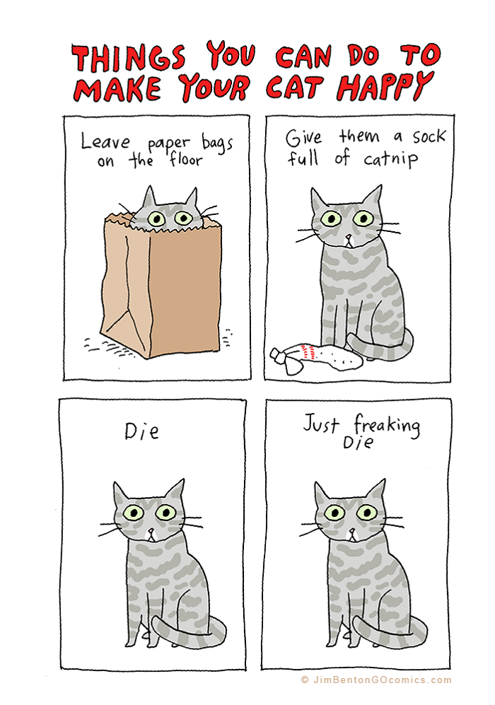 Making your cat happy
