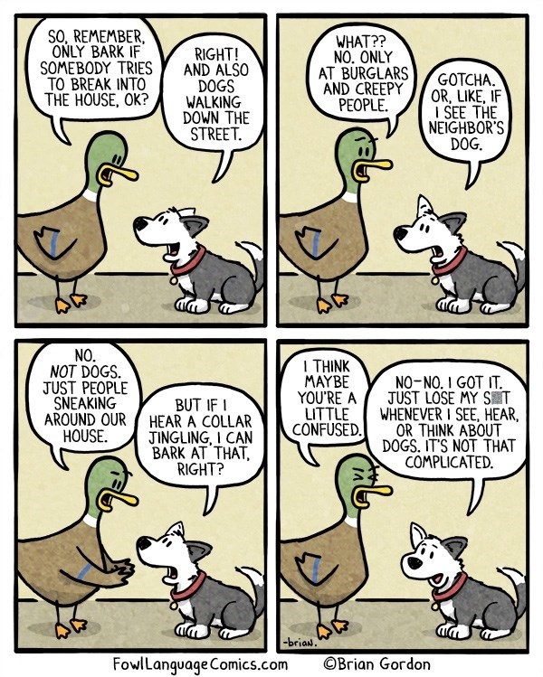 Why ducks odn't own dogs