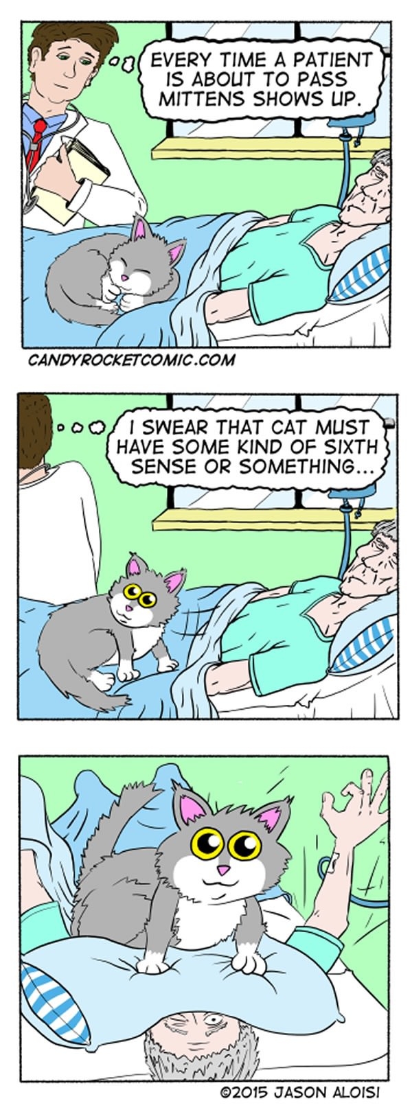 Cute little kitten comic