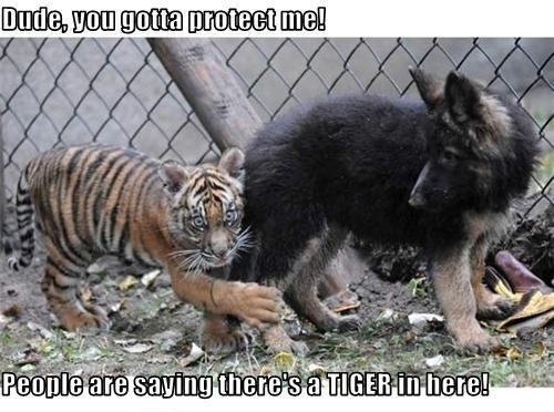 Dude, you gotta protect me!
