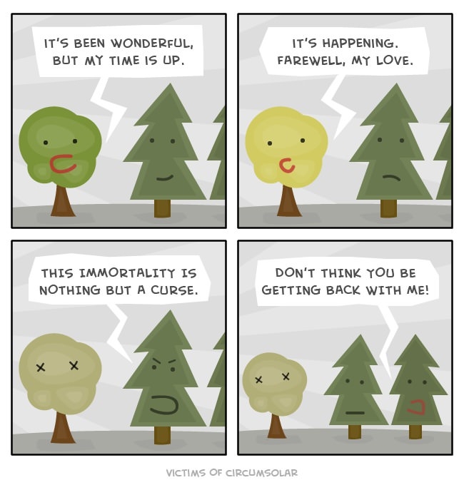 Everything is pine