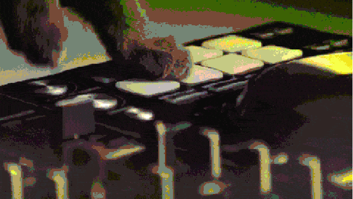 What cats do at night