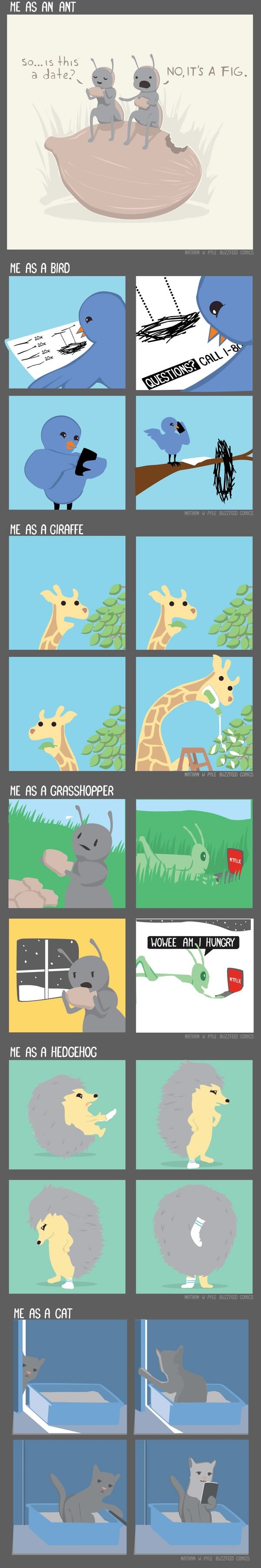 Me as different animals