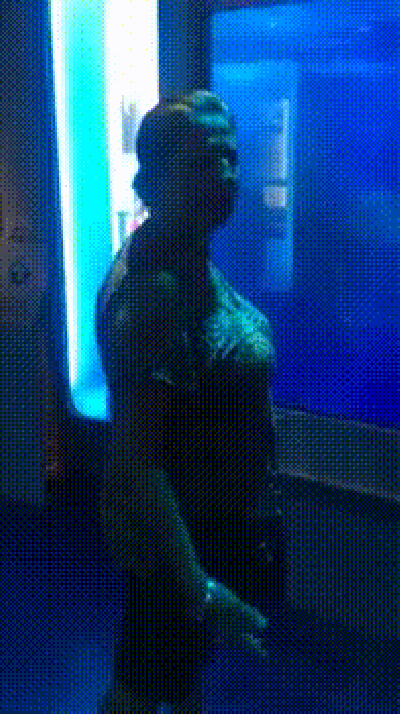 Shark attack prank