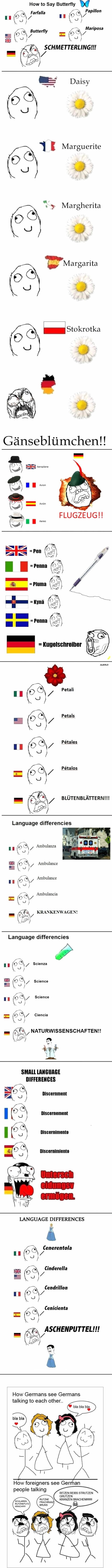 The German language